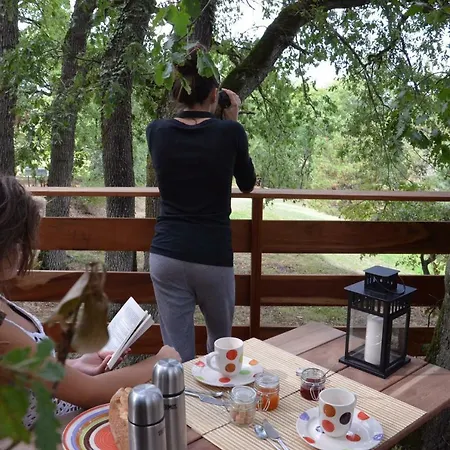 Arbrakabane Peyrissas