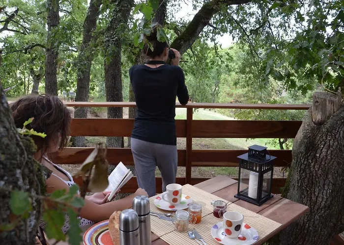 Arbrakabane Peyrissas