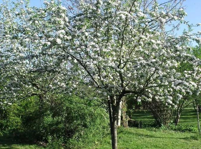 Arbrakabane ベッド・アンド・ブレックファスト *