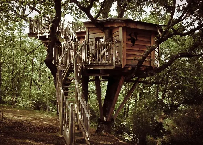 Arbrakabane Peyrissas