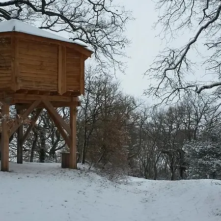 Arbrakabane * Peyrissas