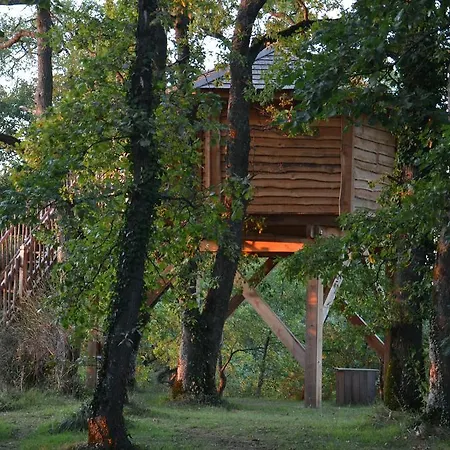 Arbrakabane Bed & Breakfast *