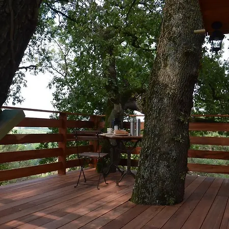 Bed & Breakfast Arbrakabane *