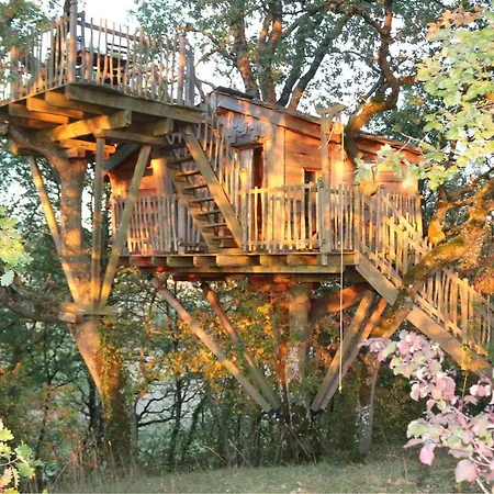 Bed & Breakfast Arbrakabane Peyrissas