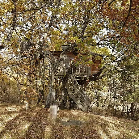 Arbrakabane Peyrissas