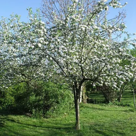 Arbrakabane Bed & Breakfast *