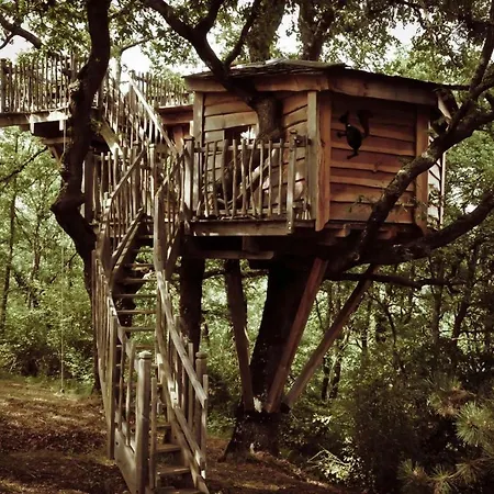 Arbrakabane Peyrissas