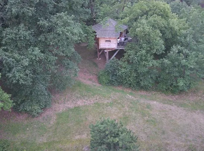 Arbrakabane Bed & Breakfast Peyrissas